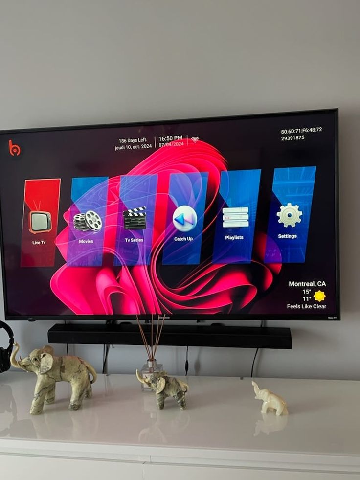 Foto de configuración del televisor del cliente Jan V. con canales IPTV